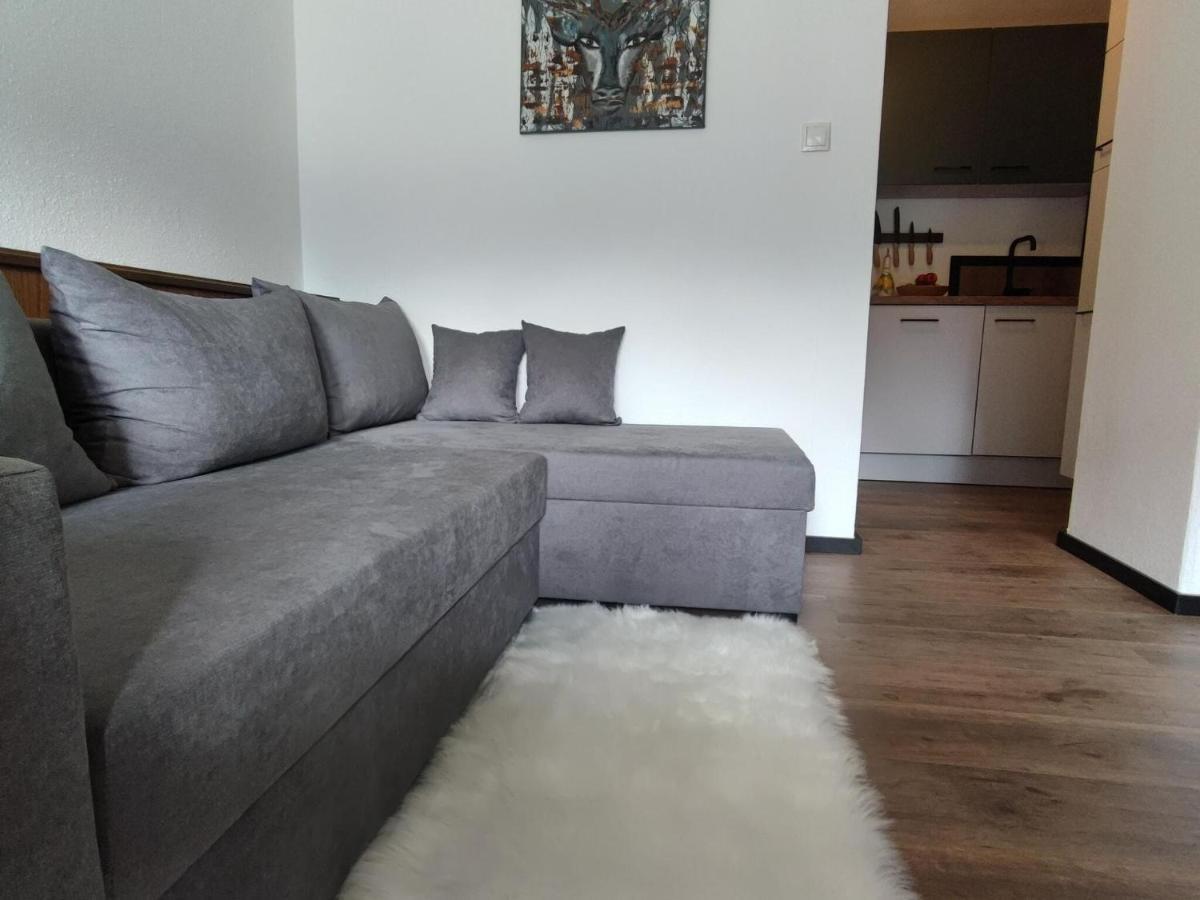 Great Apartment Near The Ski Area Hippach Esterno foto